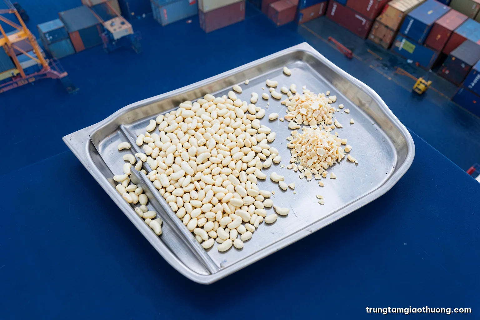 Top-down view of whole white cashew kernels spread on a stainless steel grading tray beside small heaps of split and broken pieces, soft diffused daylight, cream and steel palette